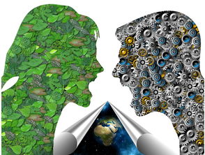 米兰体育官方下载-基层足球发展如何打破资源壁垒，足球如何突破  第3张